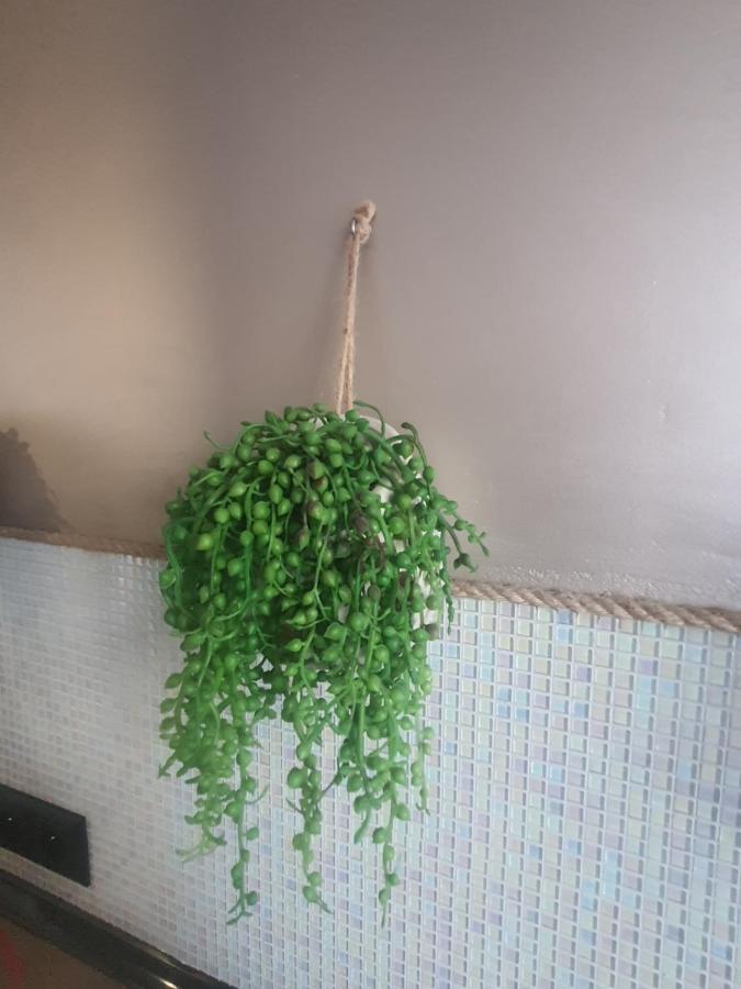 Apartament Nad Fontanna Lägenhet Malbork Exteriör bild