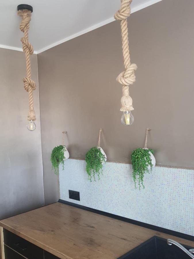 Apartament Nad Fontanna Lägenhet Malbork Exteriör bild